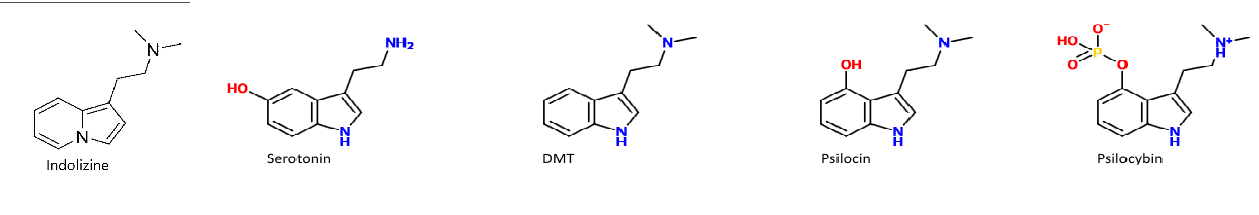 https://trip-forum.nl/wp-content/uploads/wpforo/default_attachments/1740654567-indolizine-dmt-serotonine-psilocybine-psilocine.png